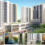 Chung cư Thuận Việt Quận 2